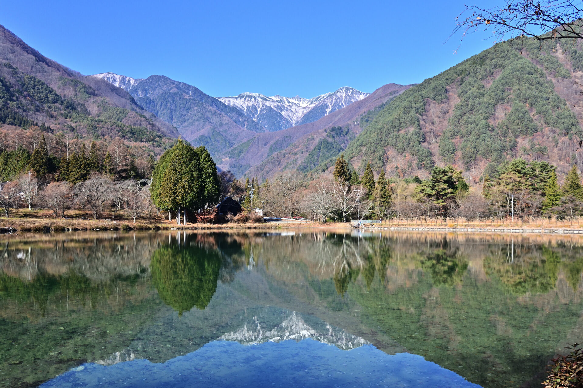 共通背景画像